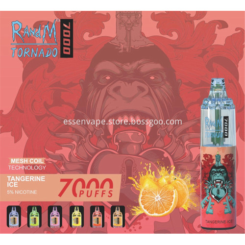 Popular Sale Disposable Vape RandM Tornado 7000Puffs Poland